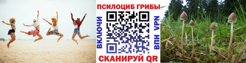 Галлюциногенные грибы прущие грибы  купить   Цоци-Юрт 