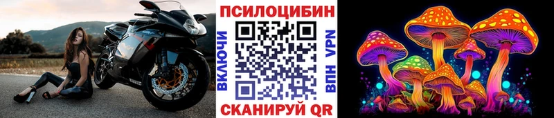 Псилоцибиновые грибы Magic Shrooms Цоци-Юрт
